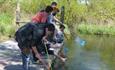 River Bourne Community Farm  - Fishing
