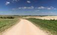 Salisbury Plain Safaris