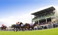 Salisbury Racecourse