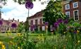 Purple Alliums in rear garden of hotel