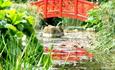 Oriental Water Garden Wilton House