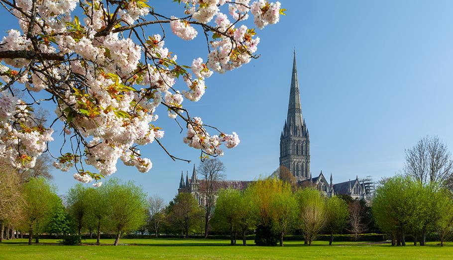 Salisbury Cathedral