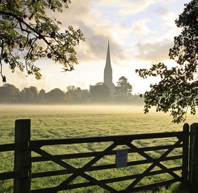 Salisbury Cathedral across the meadows (C) Ash Mills