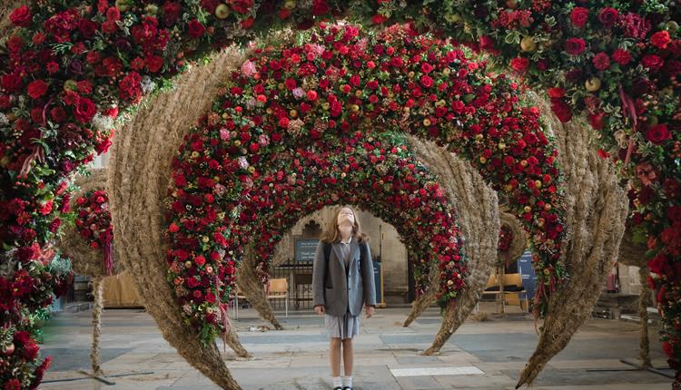 Festival of Flowers Salisbury 2020