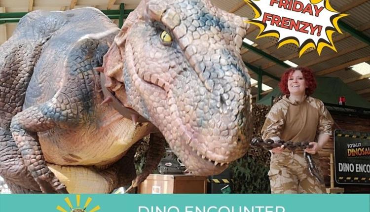 Dino Encounter!