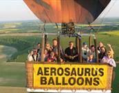 Aerosaurus Balloons Ltd - Group
