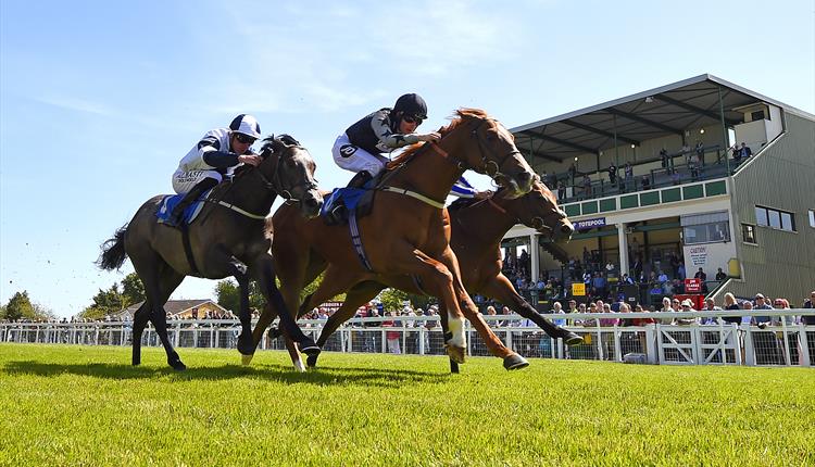 Salisbury Racecourse