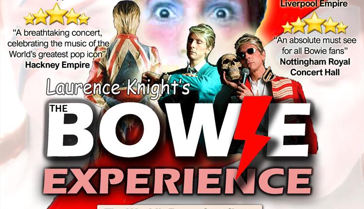 Laurence Knight: The Bowie Experience