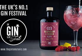 The Gin To My Tonic Gin, Rum, Vodka Festival Salisbury