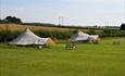 Marshwood Farm Camping - bell tents